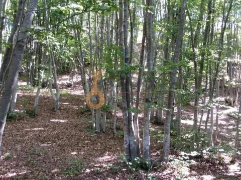 Prodaja, plac, 100000m², Cetinje, Crna Gora - image 15