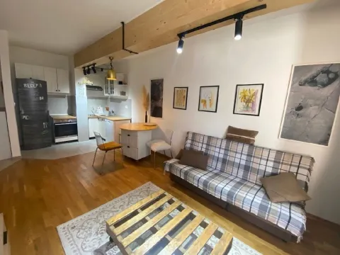 Rent, one bedroom apartment, 41m², Ljubović, Podgorica - image 2