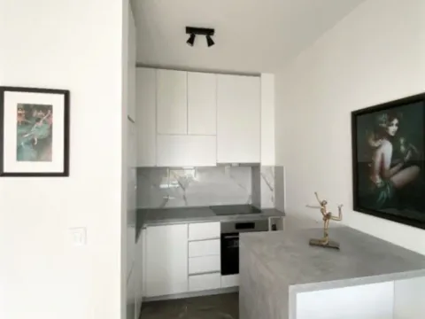 Izdavanje, jednosoban stan, 48m², Donja Lastva, Tivat - image 9