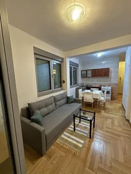Izdavanje, garsonjera, 30m², Zabjelo, Podgorica - image 4
