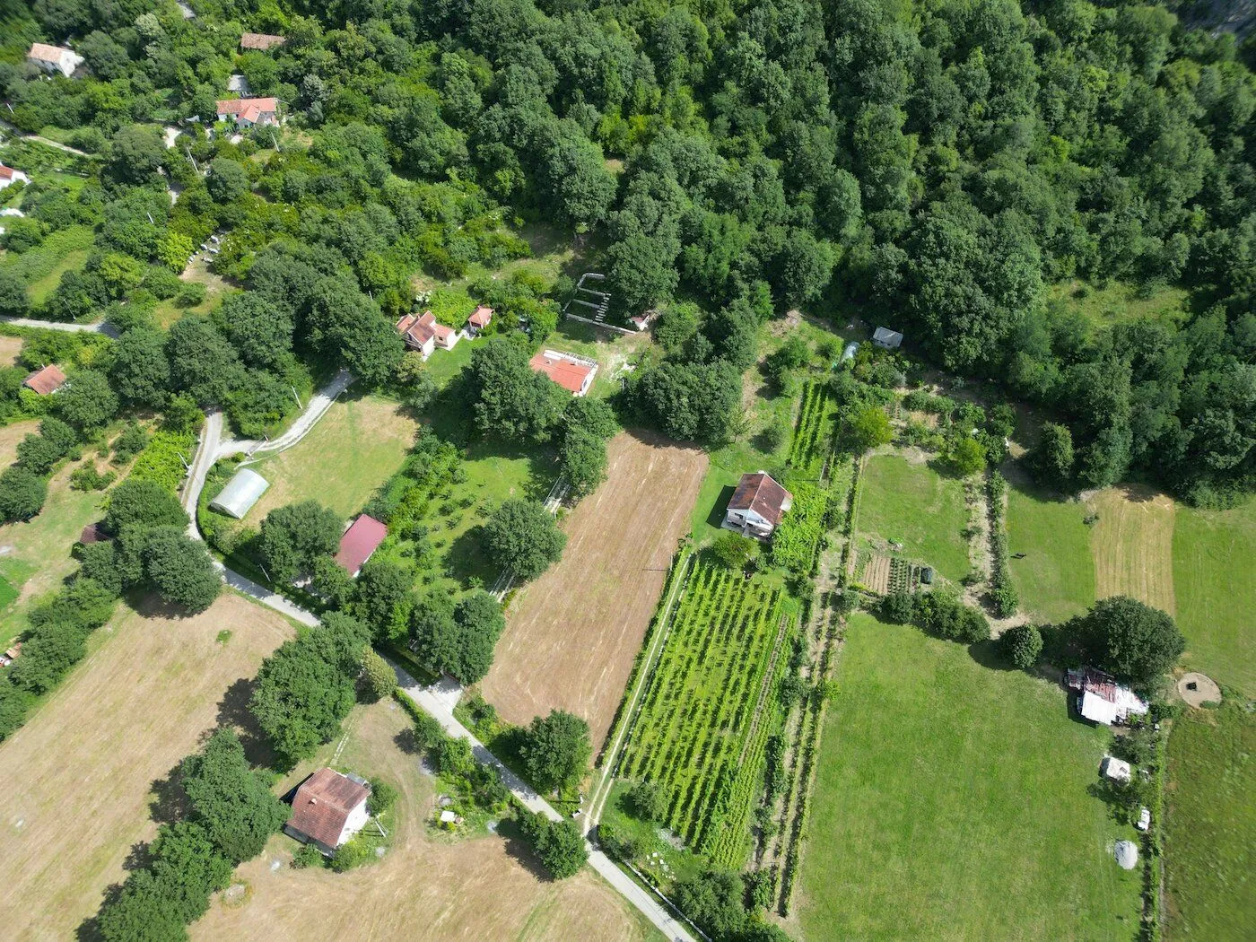 Prodaja, plac, 3775m², Frutak, Danilovgrad