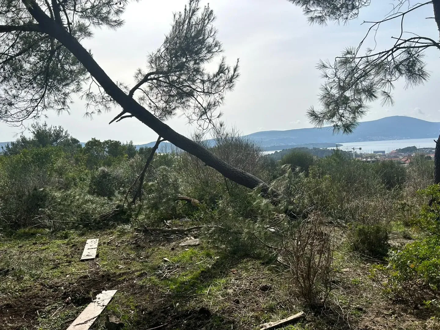 Pogled na dvorište puno rastinja i okolni pejzaž.