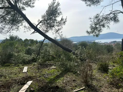 Pogled na dvorište puno rastinja i okolni pejzaž. - image 7