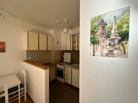 Izdavanje, jednosoban stan, 50m², City Kvart, Podgorica - image 4