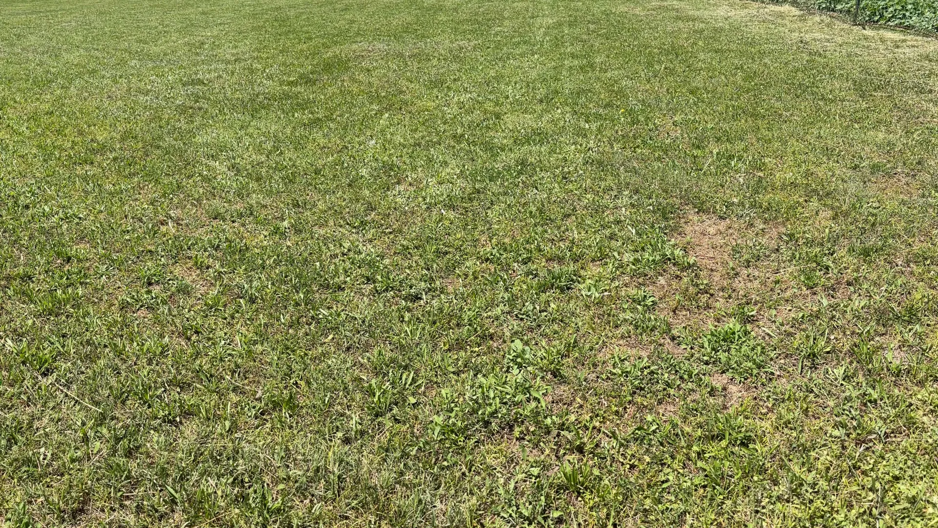 Prodaja, plac, 2081m², Grbe, Danilovgrad