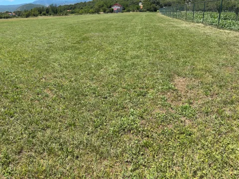 Prodaja, plac, 2081m², Grbe, Danilovgrad - image 5