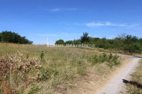 Prodaja, plac, 3276m², Petrovaradin, Novi Sad - image 7