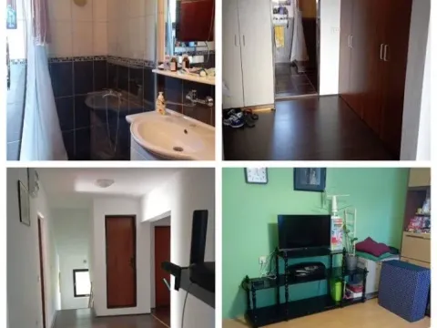 Prodaja, kuća, 250m², Barajevo, Beograd - image 5