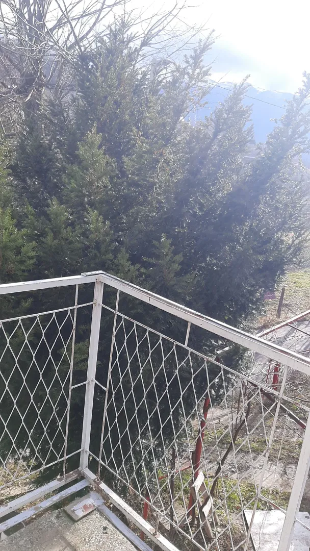 Prodaja, kuća, 1000m², Centar, Mojkovac