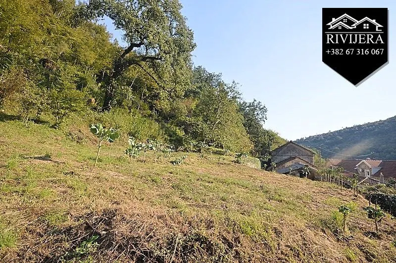 Prodaja, plac, 1040m², Bijela, Herceg Novi