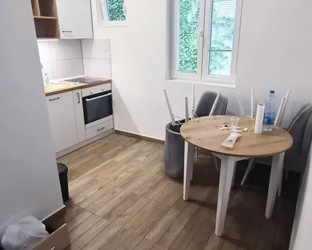 Rent, two bedroom apartment, 32m², Zvezdara Sve Podlokacije, Beograd - image 3