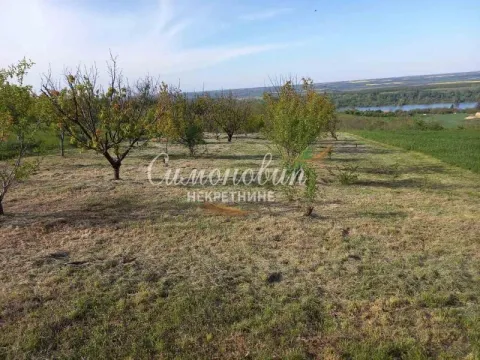 Prodaja, plac, 2100m², Novi Slankamen, Inđija - image 2