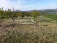 Sale, land lot, Novi Slankamen, Inđija - image 2