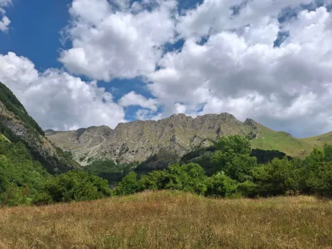 Prodaja, kuća, 144m², Međuriječje, Kolašin - image 5