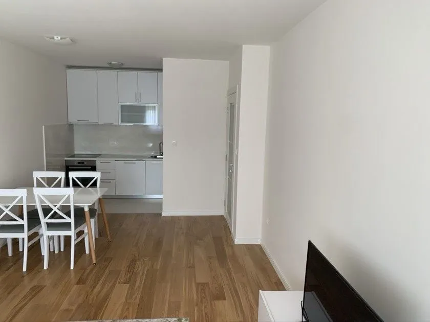 Rent, one bedroom apartment, 49m², Central Point, Podgorica