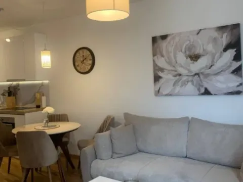 Izdavanje, jednosoban stan, 45m², Bečići, Budva - image 4