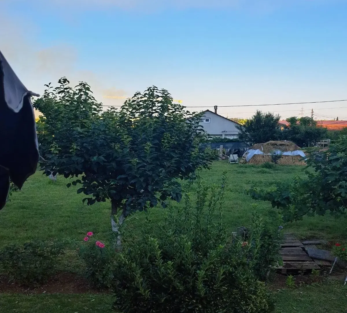 Prodaja, plac, 1600m², Podgorica, Crna Gora