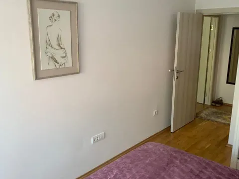 Rent, one bedroom apartment, 55m², Budva, Crna Gora - image 10