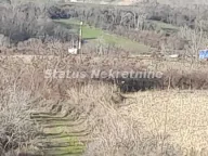 Prodaja, plac, 130m², Beočin, Srbija - image 22