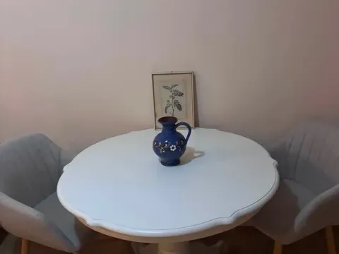 Rent, one bedroom apartment, 40m², Stari Aerodrom, Podgorica - image 3