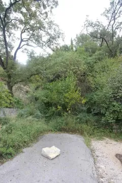 Zemljište okruženo drvećem i gustom vegetacijom sa asfaltiranim prilazom. - image 4
