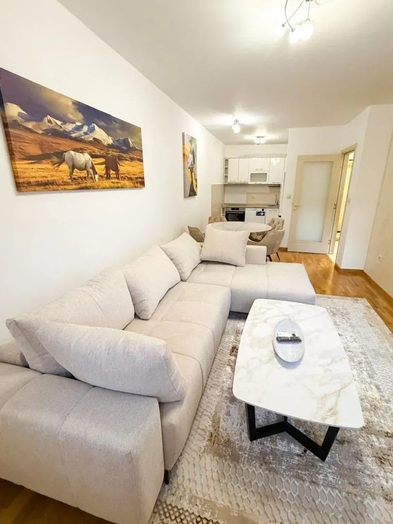 Rent, one bedroom apartment, 46m², Zagorič, Podgorica