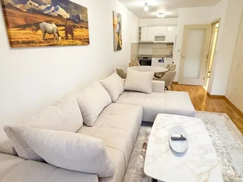 Rent, one bedroom apartment, 46m², Zagorič, Podgorica - image 2