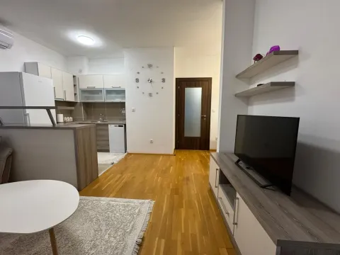 Rent, one bedroom apartment, 44m², Nova Dalmatinska, Podgorica - image 1