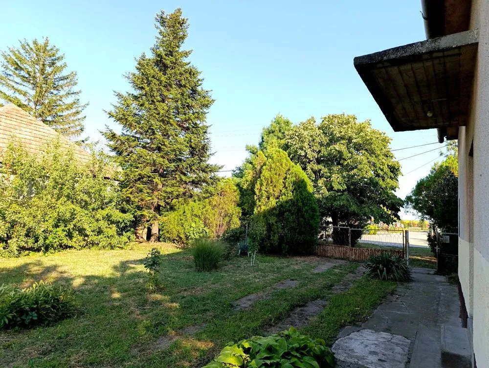 Sale, house, 200m², Čurug, Žabalj