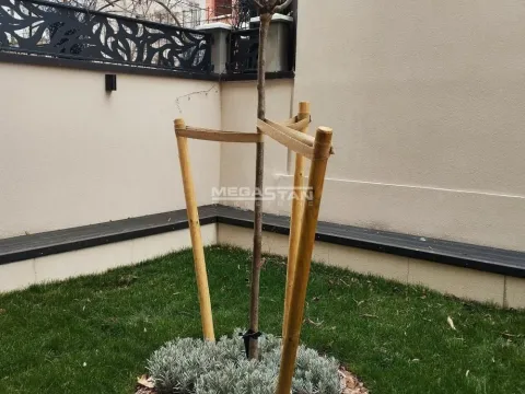 Izdavanje, poslovni prostor, 385m², Senjak, Beograd - image 2