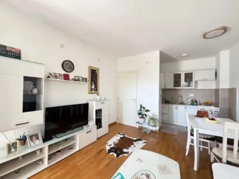 Izdavanje, jednosoban stan, 43m², City Kej, Podgorica - image 4