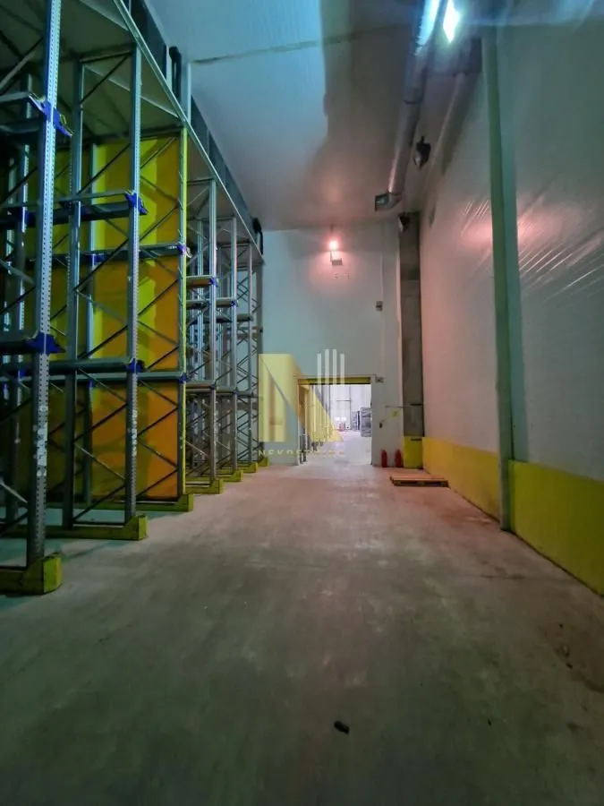 Rent, office space, 1200m², Čenej, Novi Sad Sve Podlokacije