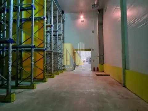 Rent, office space, 1200m², Čenej, Novi Sad Sve Podlokacije - image 10