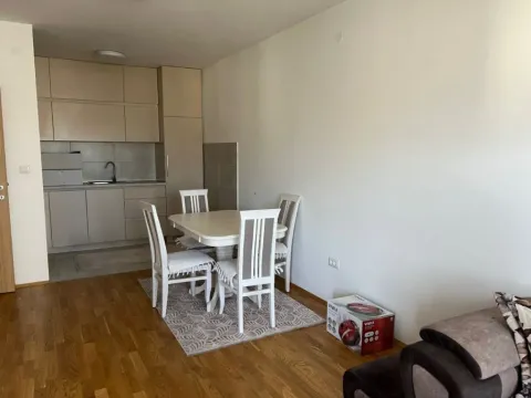 Izdavanje, jednosoban stan, 48m², Stari Aerodrom, Podgorica - image 4