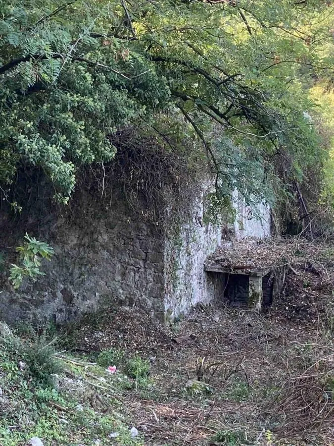 Prodaja, plac, 15400m², Bar, Crna Gora
