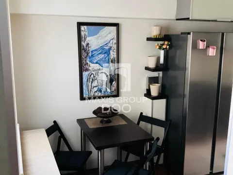 Izdavanje, jednosoban stan, 65m², Vračar Centar, Vračar Sve Podlokacije - image 16