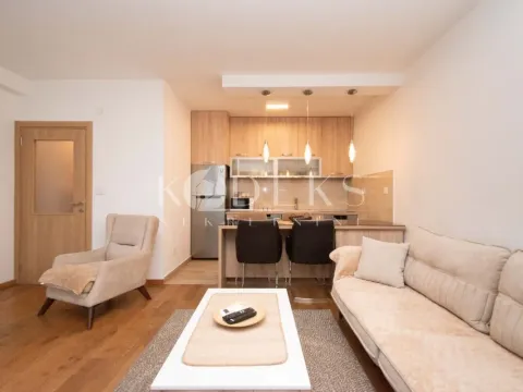 Izdavanje, jednosoban stan, 49m², Pobrežje, Podgorica - image 1