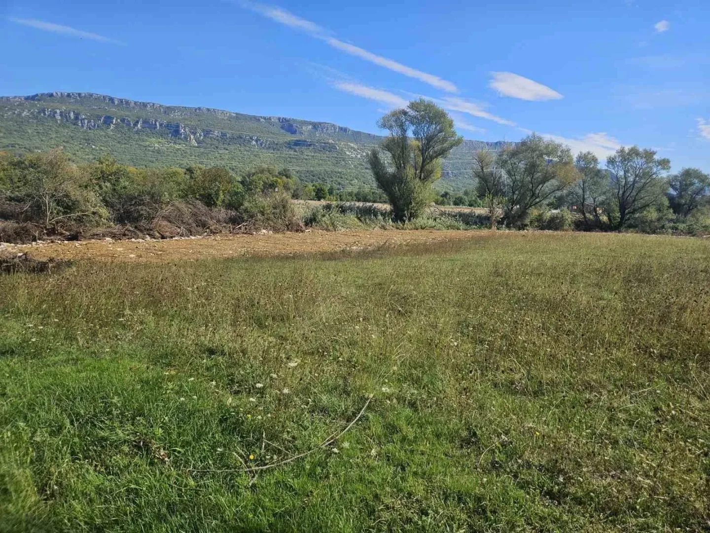 Prostrani zeleni plac okružen prirodom.