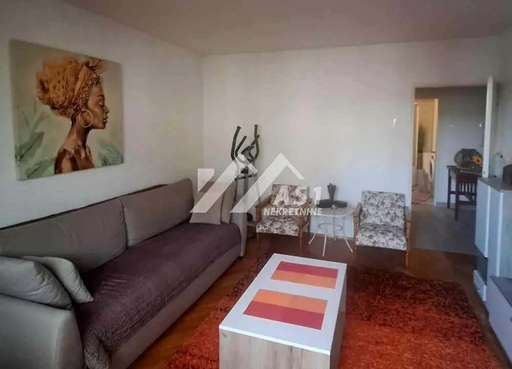 Rent, one bedroom apartment, 54m², Bulevar Oslobodjenja, Novi Sad Sve Podlokacije