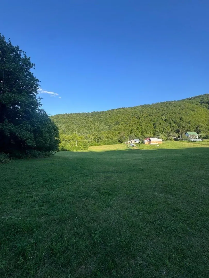 Pogled na prostranu zelenu livadu i šumu u prirodnom okruženju.