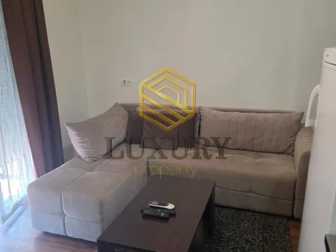 Rent, studio apartment, 25m², Zabjelo, Podgorica - image 2
