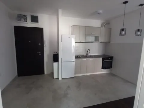 Izdavanje, stan, 40m², Vračar Sve Podlokacije, Beograd - image 7