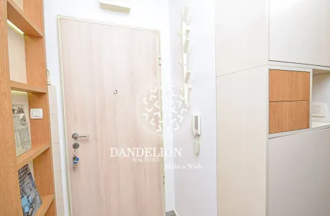 Rent, one bedroom apartment, 59m², Central Point, Podgorica - image 801