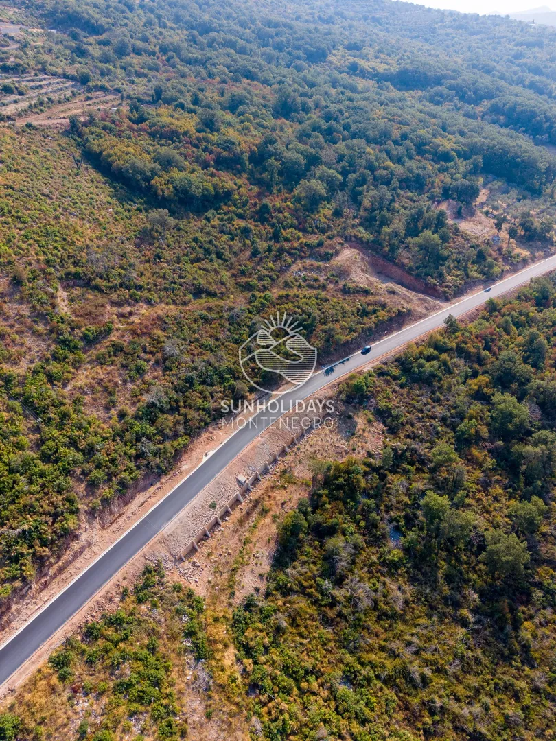 Vazdušni pogled na šumoviti teren i put.