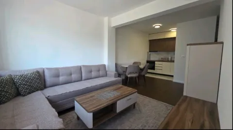 Izdavanje, jednosoban stan, 41m², Kruševac, Podgorica - image 2