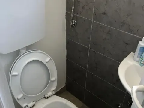 Izdavanje, poslovni prostor, 1200m², Zemun Ugrinovci, Zemun Sve Podlokacije - image 7