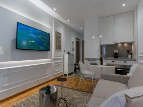 Rent, studio apartment, 20m², Zabjelo, Podgorica - image 3