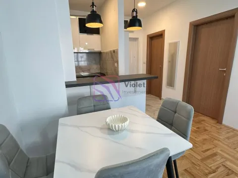 Izdavanje, jednosoban stan, 40m², Ljubović, Podgorica - image 14