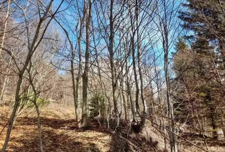 Prodaja, plac, 4200m², Raška, Srbija