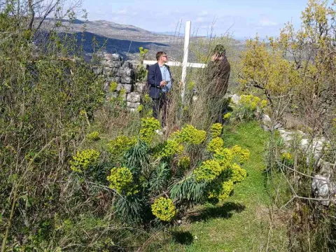 Prodaja, plac, 30604m², Cetinje, Crna Gora - image 8